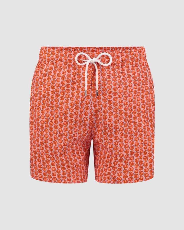 Tasmanian Reef Men’s Swim Short - Seaciety